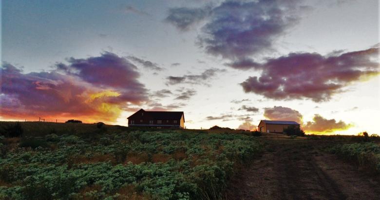 Dave&#039;s Missouri River House &amp; Shop