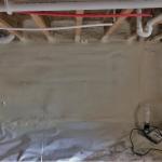 Trent Peterson Crawlspace